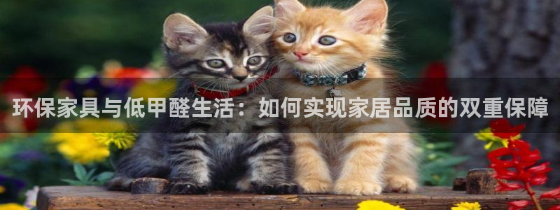 沐鸣2平台客户端：环保家具与低甲醛生活：如何实现家居品质的双