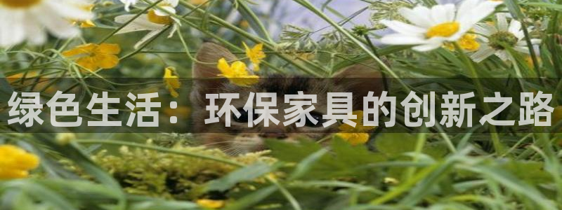 沐鸣2官方