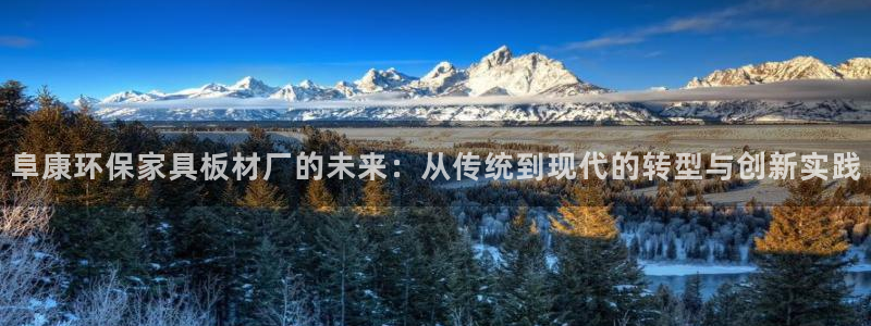 沐鸣2官网游戏：阜康环保家具板材厂的未来：从传统到现代的转型