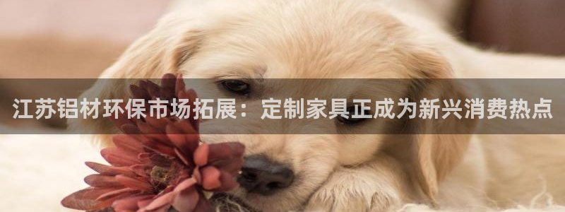 沐鸣2平台地址：江苏铝材环保市场拓展：定制家具正成为新兴消费