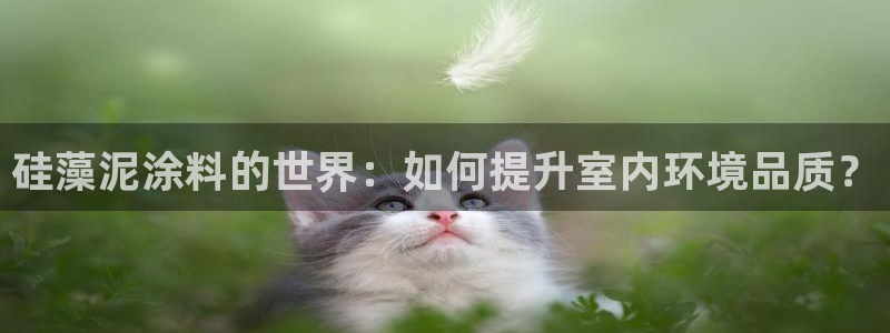 沐鸣23代理：硅藻泥涂料的世界：如何提升室内环境品质？