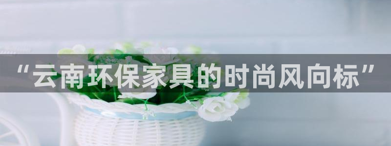 沐鸣2平台官网登录：“云南环保家具的时尚风向标”