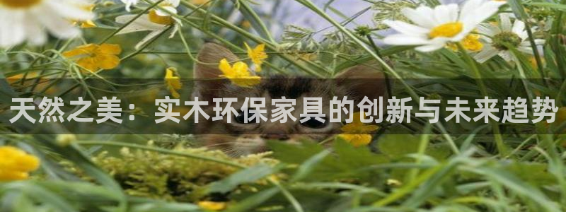 沐鸣2平台还在吗