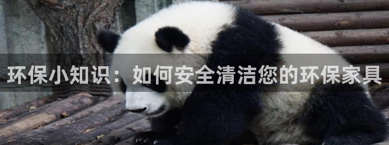 沐鸣2平台怎么注册：环保小知识：如何安全清洁您的环保家具