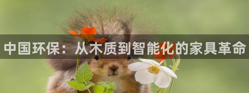 沐鸣2平台官方网站下载：中国环保：从木质到智能化的家具革命